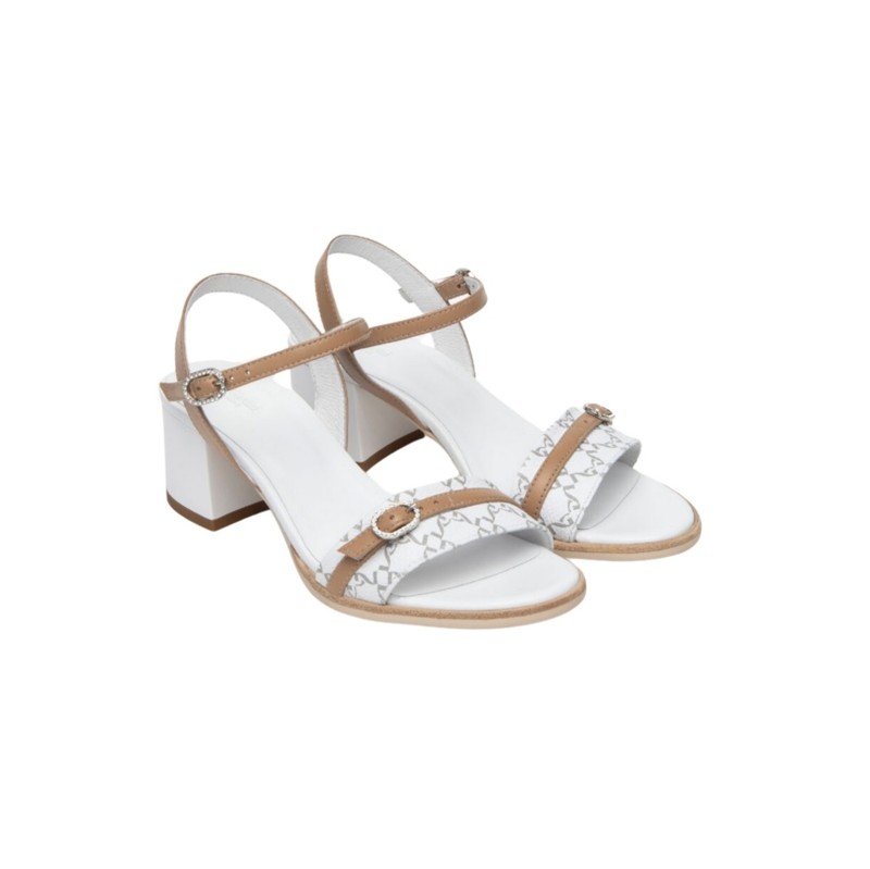 SAND.LOGATO-VIT  T.GIOVE-BASIC 2