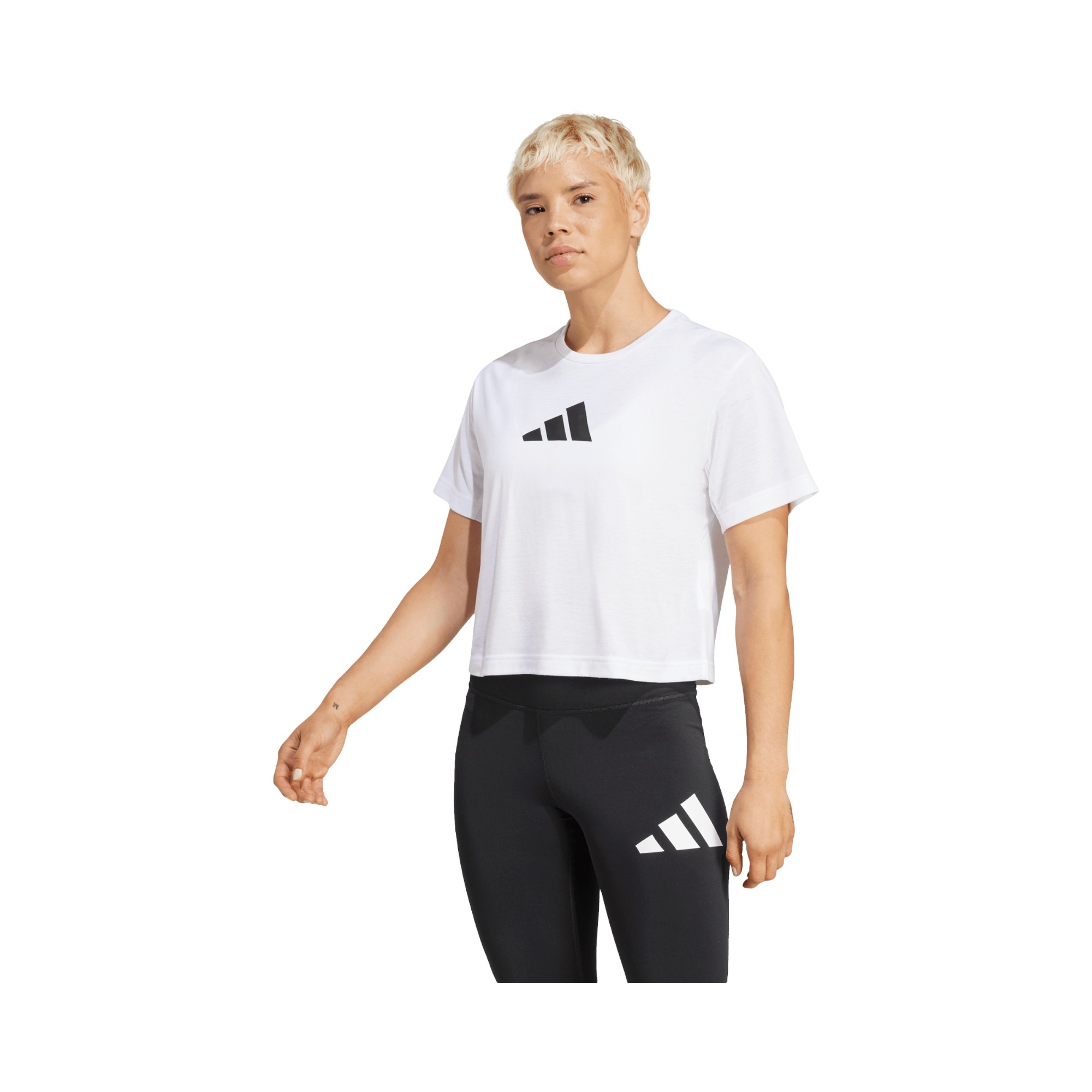 COT.JERSEY       WHITE
