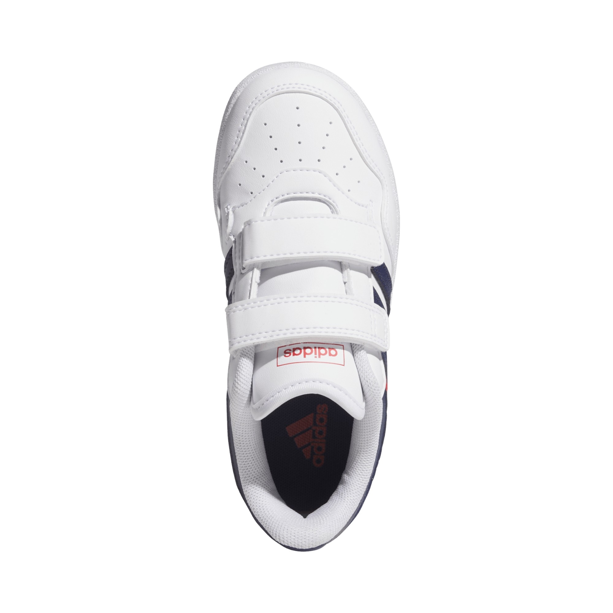 SYNLEA-TXT       WHT/BLUE/RED