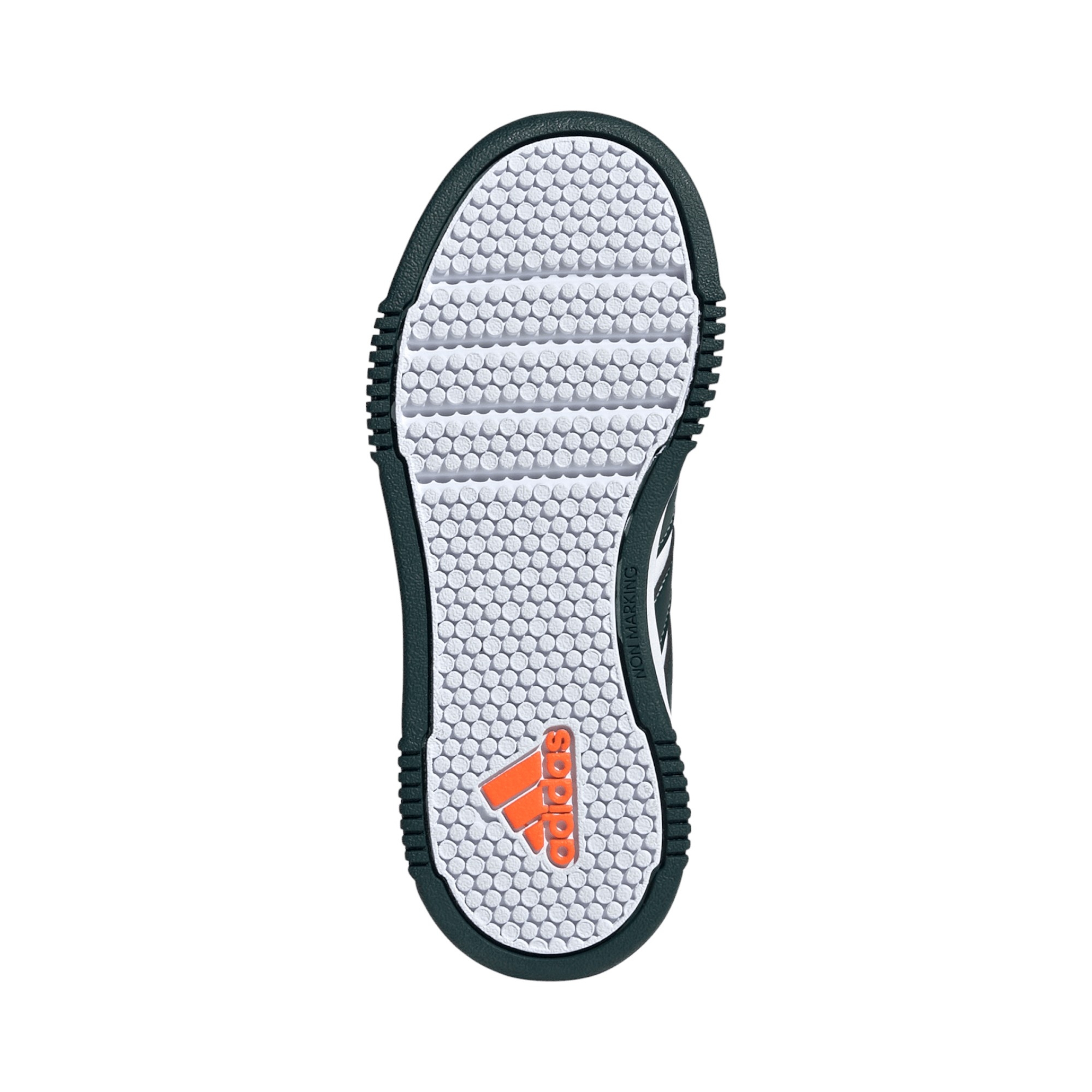 SYNLEA-TXT       WHT/AURORA IVY/ORANGE