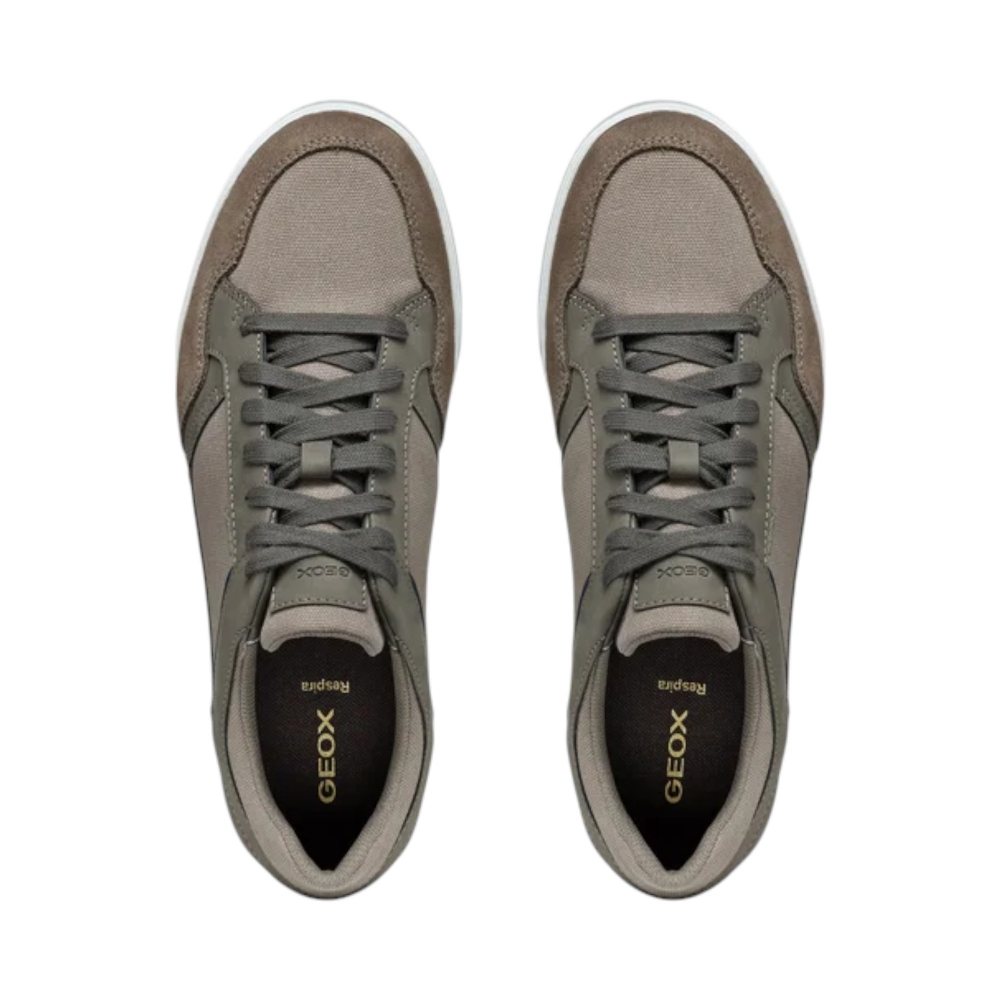 SC.TELA-S.NUB    WALEE-DOVE GREY