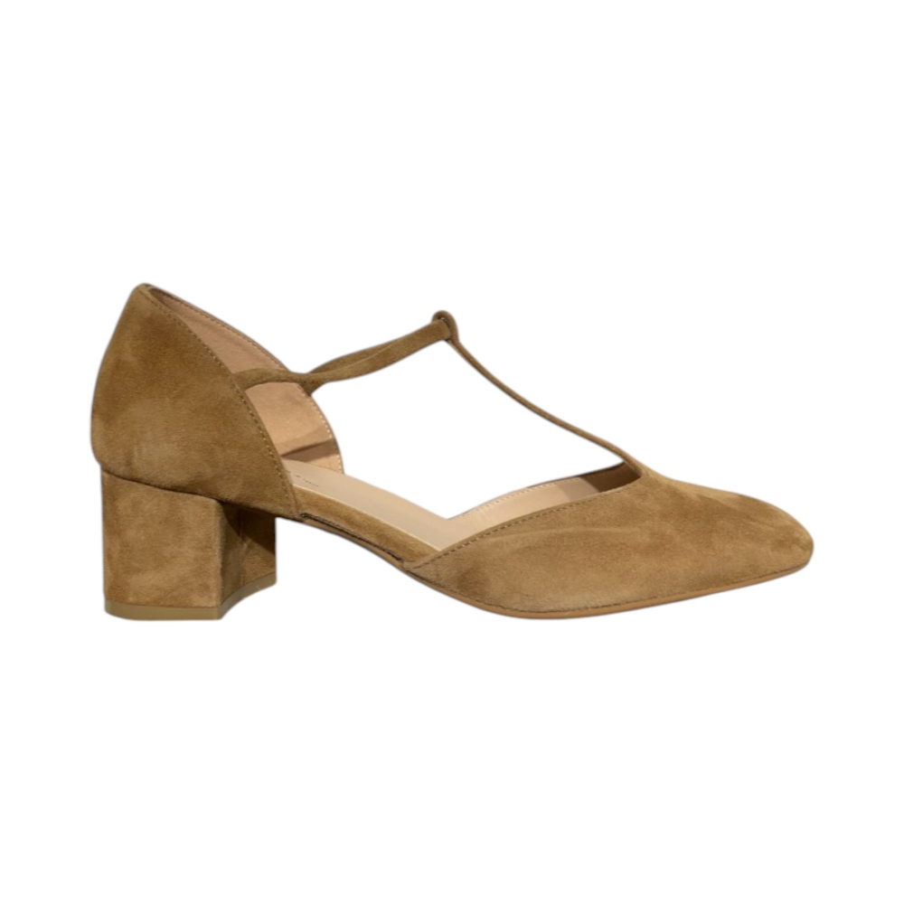 DEC.AP.CAMOS     DAINO