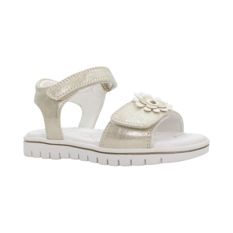 SAND.S.PELLE LAM S26-CO001