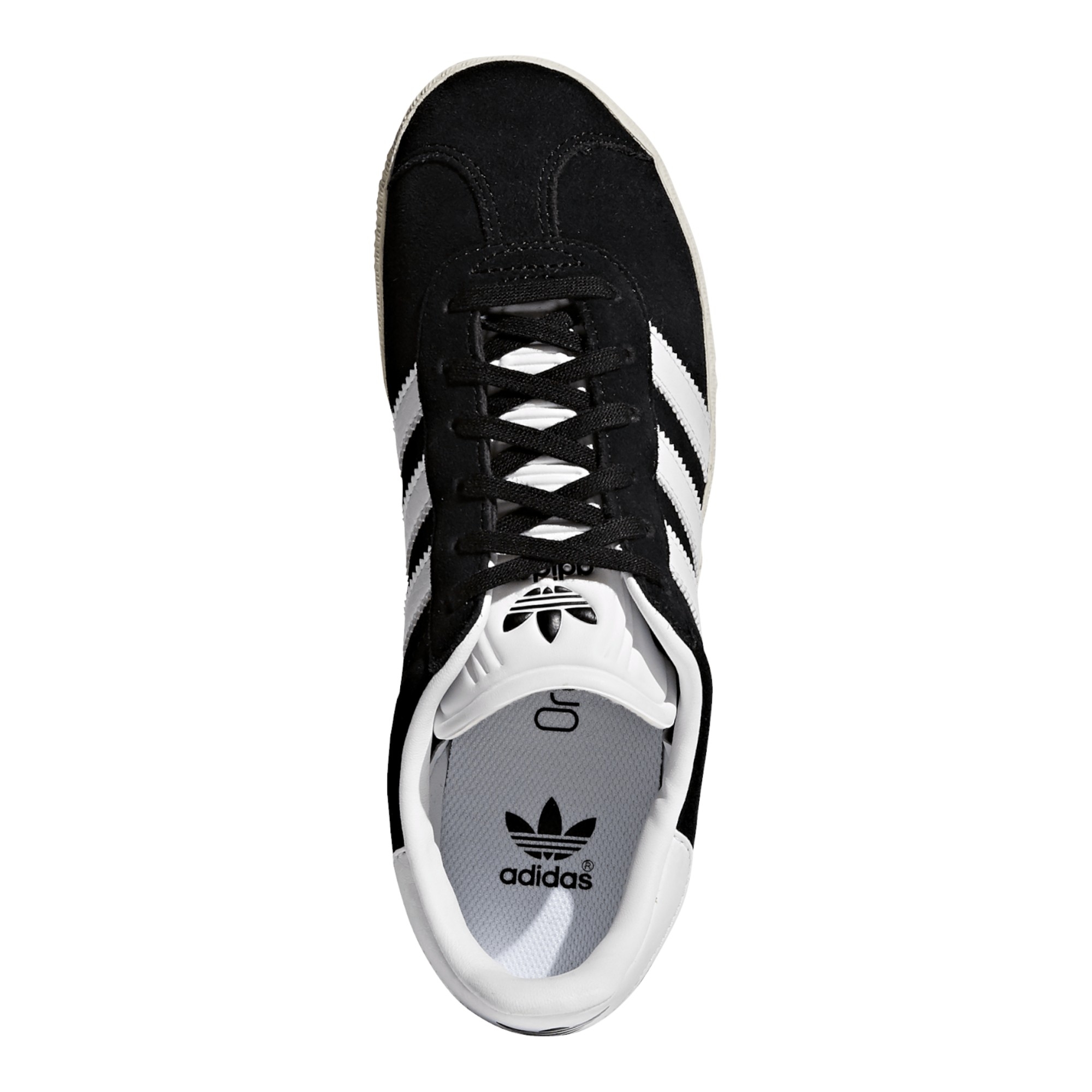 Gazelle