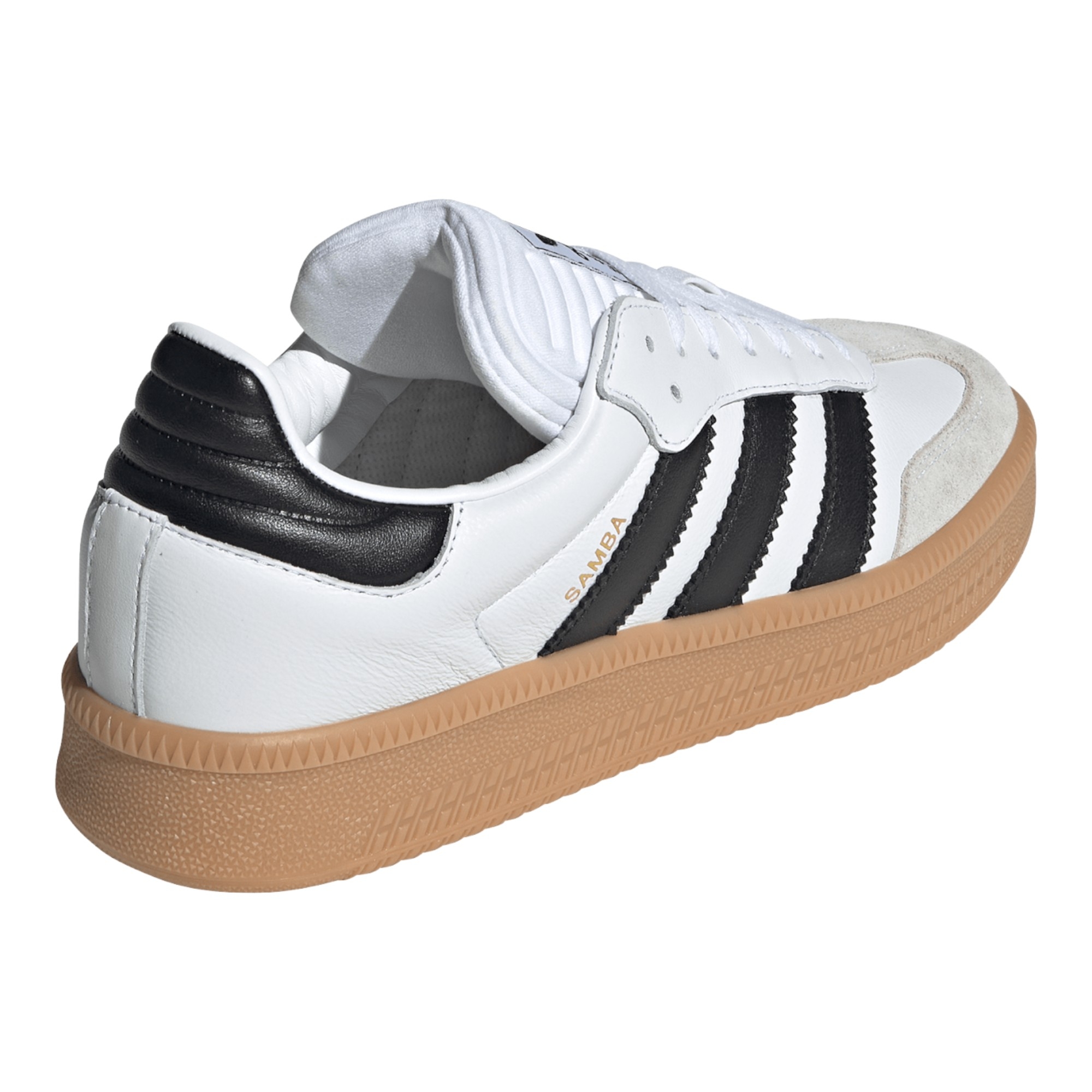 Samba XLG