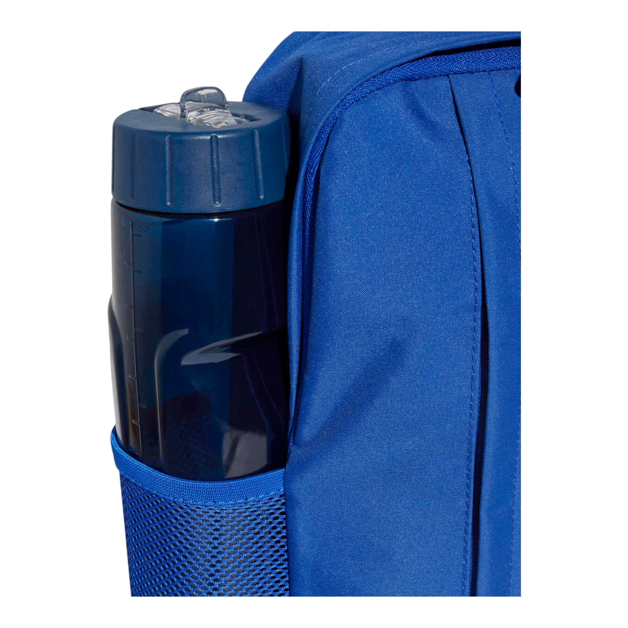 PLAIN WEAVE      ROYAL BLUE/WHITE