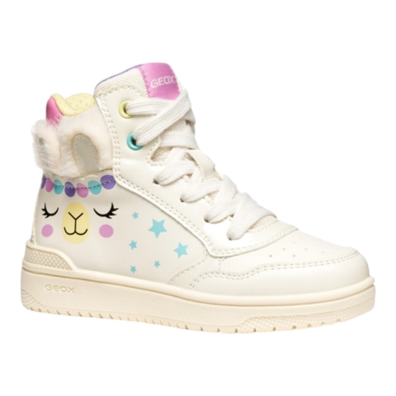 POL.S.VIT-VERN   WASHIBA-IVORY/MULTIC