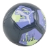   Pallone da calcio PUMA Big Cat