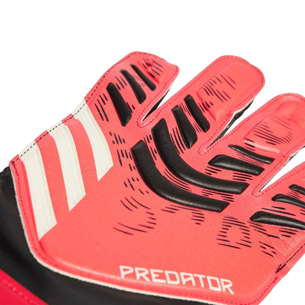 POLY             BLACK/LUCID RED/BLACK