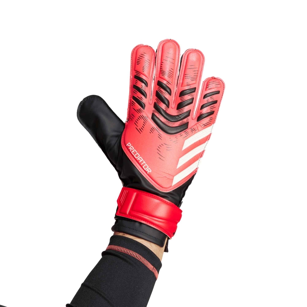 POLY             BLACK/LUCID RED/BLACK