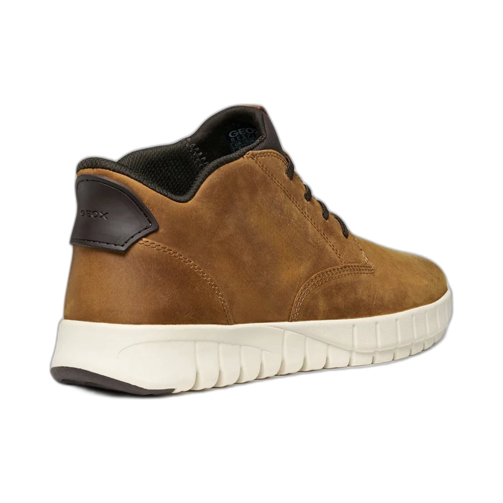 Polacchino Flextride